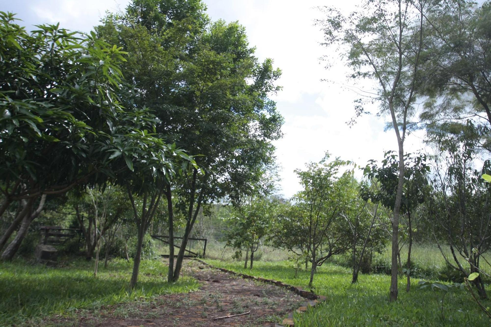 Chale Guatapora Em Casa rural Foz do Iguaçu