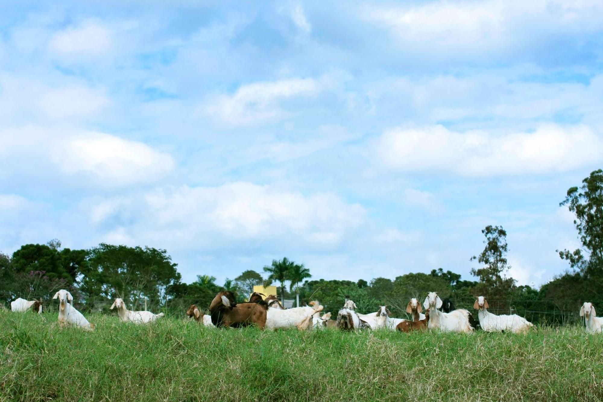 Chale Guatapora Em Foz do Iguaçu