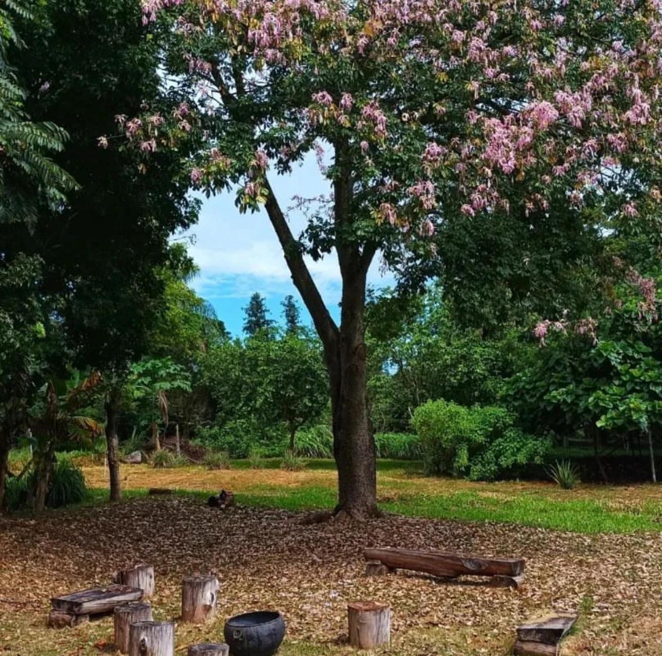 Chale Guatapora Em Country house Foz do Iguacu
