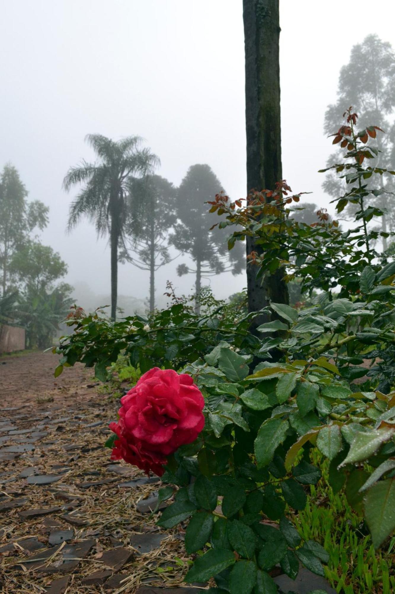 Country house Chale Guatapora Em